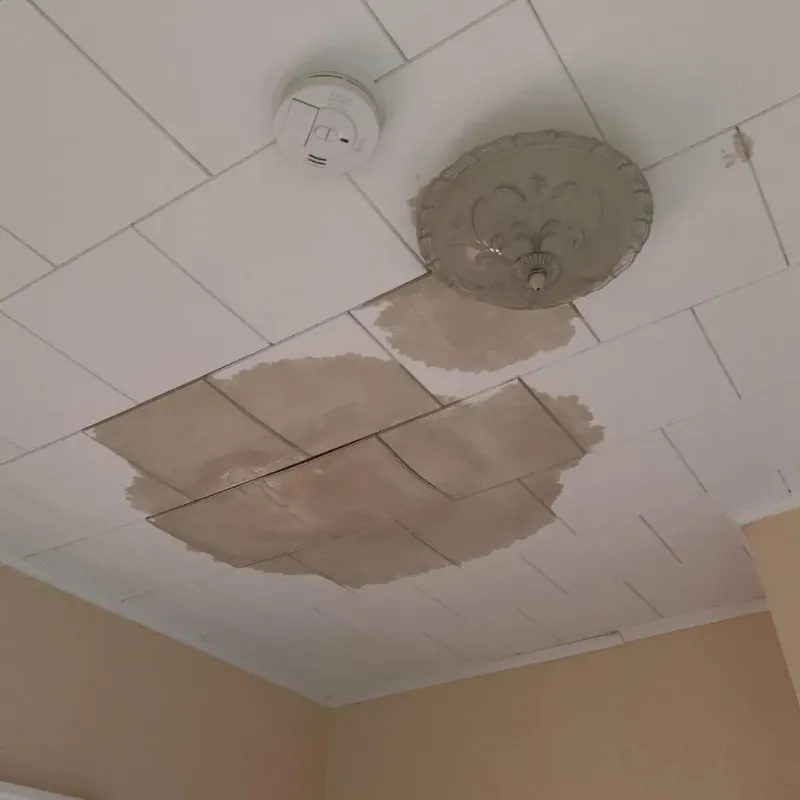 Ceiling Water Damage Repair in Barnes Lake-Millers Lake, MI