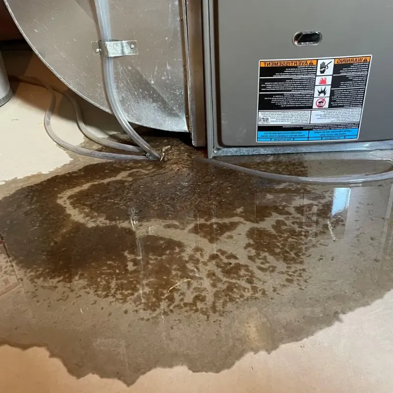 Pipe Burst and Leak Restoration in Barnes Lake-Millers Lake, MI