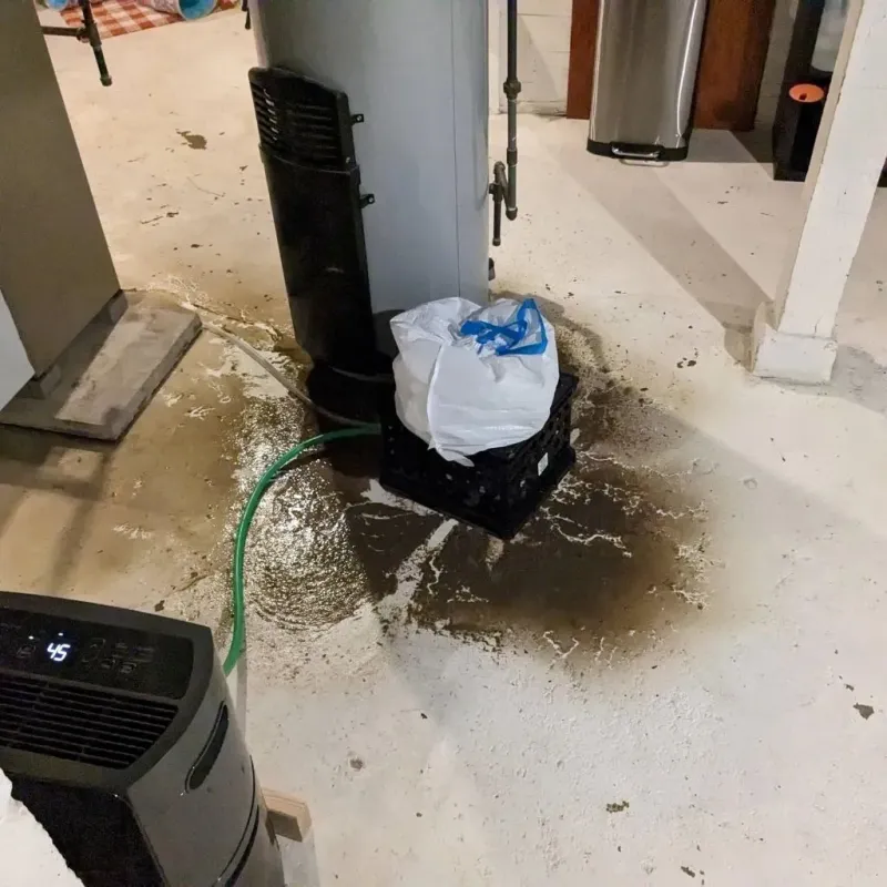 Sewage Backup Cleanup Service in Barnes Lake-Millers Lake, MI